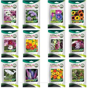 بذر گل های باغچه ای با رویش آسان گلبرگ پامچال کد g p gp 012 مجموعه 12 عددی