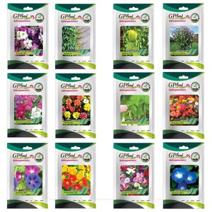 بذر گل های باغچه ای و گلدانی رونده با رویش آسان گلبرگ پامچال کد g p gp 012 مجموعه 12 عددی