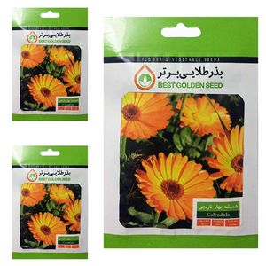 بذر گل همیشه بهار نارنجی بذر طلایی برتر کد btb 38 مجموعه 3 عددی