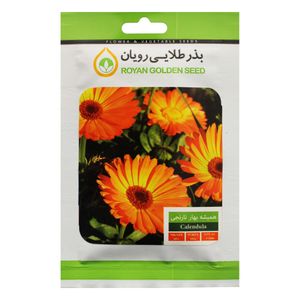 بذر گل همیشه بهار نارنجی بذر طلایی رویان کد bztr 038
