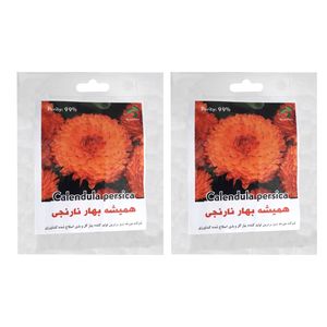 بذر گل همیشه بهار نارنجی گرین فارم کد 003 بسته 2 عددی