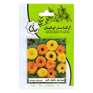 بذر گل همیشه بهار پاکوتاه الوان آرکا بذر ایرانیان کد 91 ark