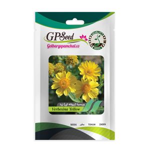 بذر گل وربسینا پروانه ای گلبرگ پامچال کد gpf 094