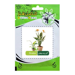 بذر گل پرنده بهشتی فصل سبز کد fsseed 32