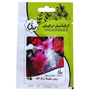 بذر گل پریوش پامتوسط پرگل الوان آرکا بذر ایرانیان کد ark 056