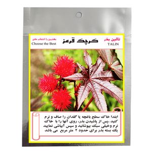 بذر گل کرچک قرمز تالین بذر کد bzt 1003