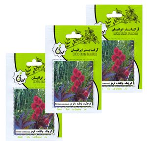 بذر گل کرچک پابلند قرمز آرکا بذر ایرانیان کد 165 ark مجموعه 3 عددی