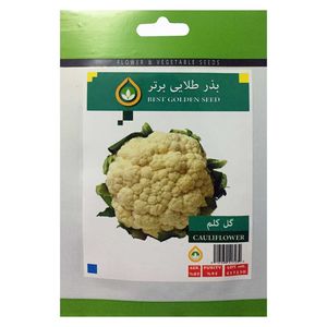 بذر گل کلم بذر طلایی برتر کد bzt 75