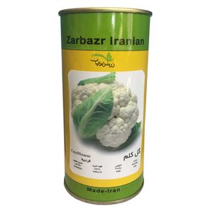 بذر گل کلم زر بذر ایرانیان قوطی 500 عددی مدل gh500a 30