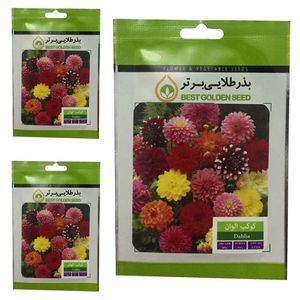بذر گل کوکب الوان بذر طلایی برتر کد btb 26 مجموعه 3 عددی