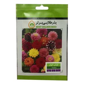بذر گل کوکب الوان بذر طلایی برتر کد bzt 26