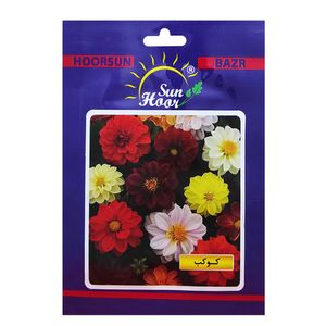 بذر گل کوکب هورسان کد hsn 032