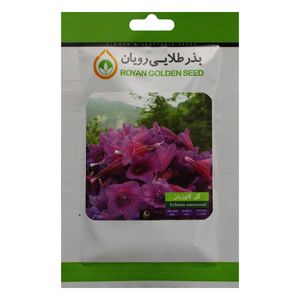 بذر گل گاو زبان بذر طلایی رویان bztr 106