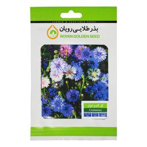 بذر گل گندم الوان بذر طلایی رویان کد bztr 029