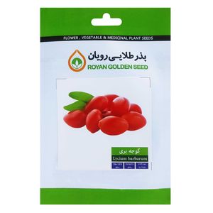 بذر گوجه بری بذر طلایی رویان کد bzt 160