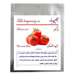 بذر گوجه تالین بذر کد bzt 007