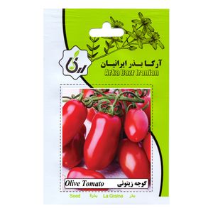 بذر گوجه زیتونی آرکا بذر ایرانیان کد ark 153