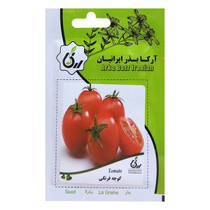 بذر گوجه فرنگی آرکا بذر ایرانیان کد ark 174