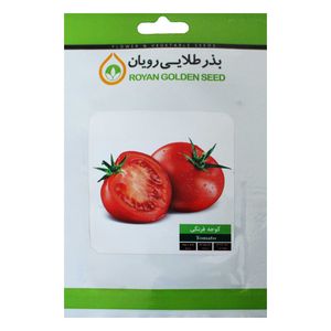 بذر گوجه فرنگی بذر طلایی رویان مدل bztr 076