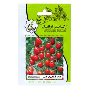 بذر گوجه فرنگی درختی آرکا بذر ایرانیان کد 178 ark
