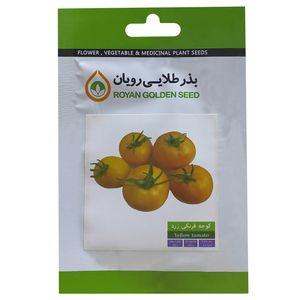 بذر گوجه فرنگی زرد بذر طلایی رویان کد bzt 148