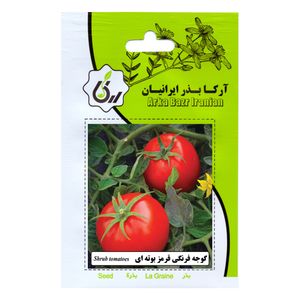بذر گوجه فرنگی قرمز بوته ای آرکا بذر ایرانیان کد ark 147