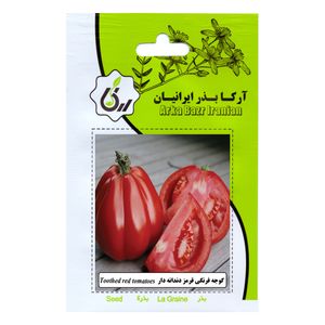 بذر گوجه فرنگی قرمز دندانه دار آرکا بذر ایرانیان کد 152 ark