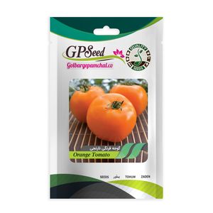 بذر گوجه فرنگی نارنجی گلبرگ پامچال کد gpf 287