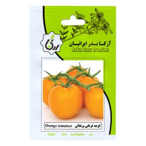 بذر گوجه فرنگی پرتقالی آرکا بذر ایرانیان کد 146 ark