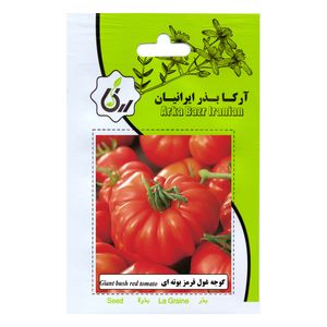بذر گوجه قول قرمز بوته ای آرکا بذر ایرانیان کد ark 164