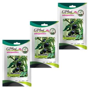 بذر گوجه چری مشکی گلبرگ پامچال کد gpf 202 مجموعه 3 عددی