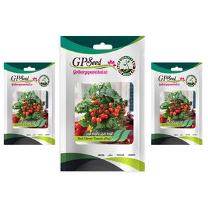 بذر گوجه چری پاکوتاه قرمز گلدانی گلبرگ پامچال کد gpf 207 مجموعه 3 عددی