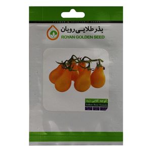 بذر گوجه گلابی زرد بذر طلایی رویان مدل bztr 103