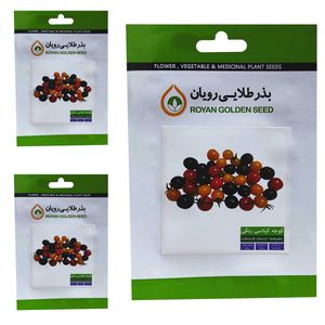 بذر گوجه گیلاسی رنگی بذر طلایی رویان کد bzt 151 مجموعه 3 عددی