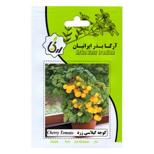 بذر گوجه گیلاسی زرد آرکا بذر ایرانیان کد ark 151