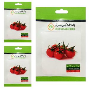 بذر گوجه گیلاسی قرمز بذر طلایی برتر کد btb 77 مجموعه 3 عددی