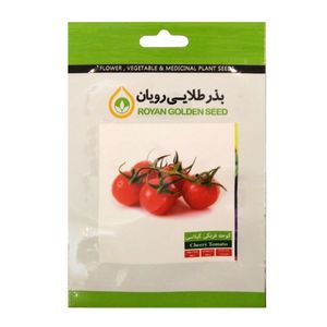 بذر گوجه گیلاسی قرمز بذر طلایی رویان مدل bztr 009