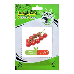 بذر گوجه گیلاسی قرمز فصل سبز کد seed 024