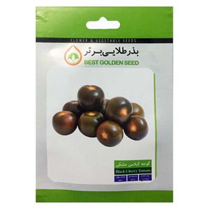 بذر گوجه گیلاسی مشکی بذر طلایی برتر کد bzt 79