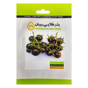 بذر گوجه گیلاسی مشکی بذر طلایی رویان مدل bztr 079