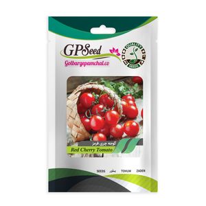 بذر گوجه گیلاسی پر بار گلدانی گلبرگ پامچال کد gpf 163