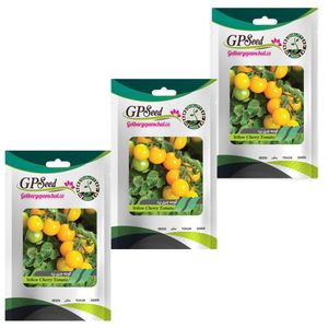 بذر گوجه گیلاسی گلبرگ پامچال کد gpf 206 مجموعه 3 عددی
