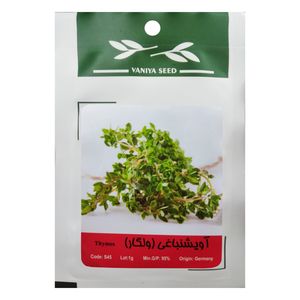 بذر گیاه آویشن باغی وانیا سید مدل s45