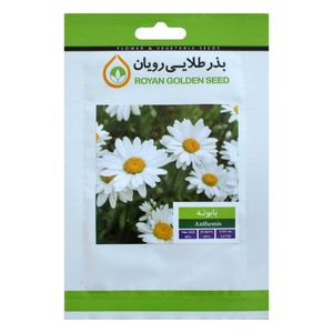 بذر گیاه بابونه بذر طلایی رویان کد bzt 127
