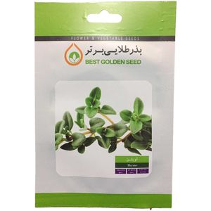 بذر گیاه دارویی آویشن بذر طلایی برتر کد bzt 100