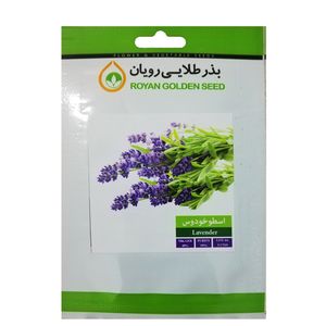 بذر گیاه دارویی اسطوخودوس بذر طلایی رویان کد bzt 108