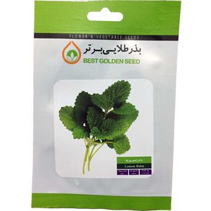 بذر گیاه دارویی بادرنجبویه بذر طلایی برتر کد bzt 101