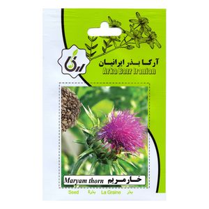 بذر گیاه دارویی خار مریم آرکا بذر ایرانیان کد 99 ark