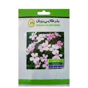 بذر گیاه دارویی صابونی بذر طلایی رویان کد bzt 110
