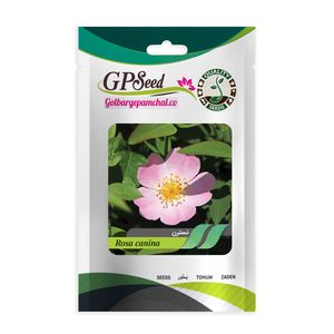 بذر گیاه دارویی نسترن گلبرگ پامچال کد gpf 340